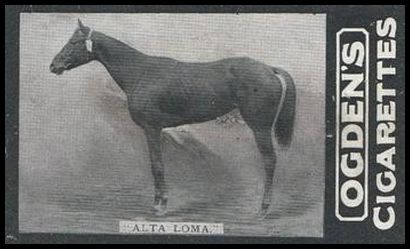 172 Alta Loma